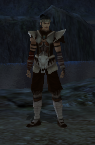 [Eternity] Wild Tower Costume (M)